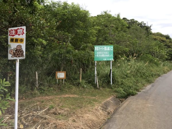 野底マーペー登山入口
