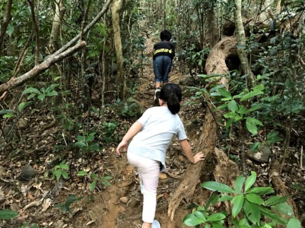 野底マーペー登山道