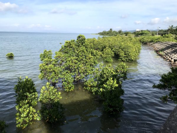 名蔵湾休憩スペース