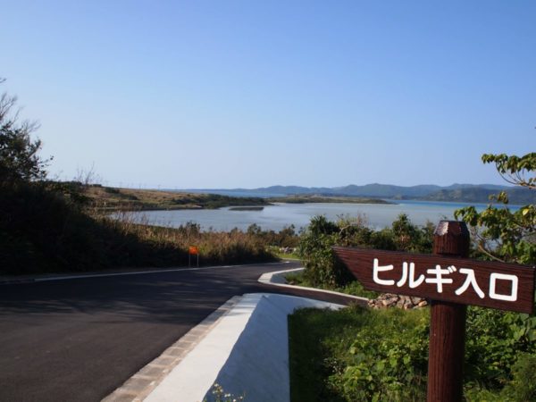 小浜島マングローブ林入口