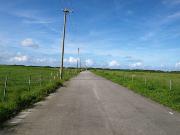 黒島牧草地の道