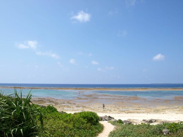 石垣島からの離島 黒島 動物ハートアイランドで子連れ旅におすすめ 石垣島たびpark